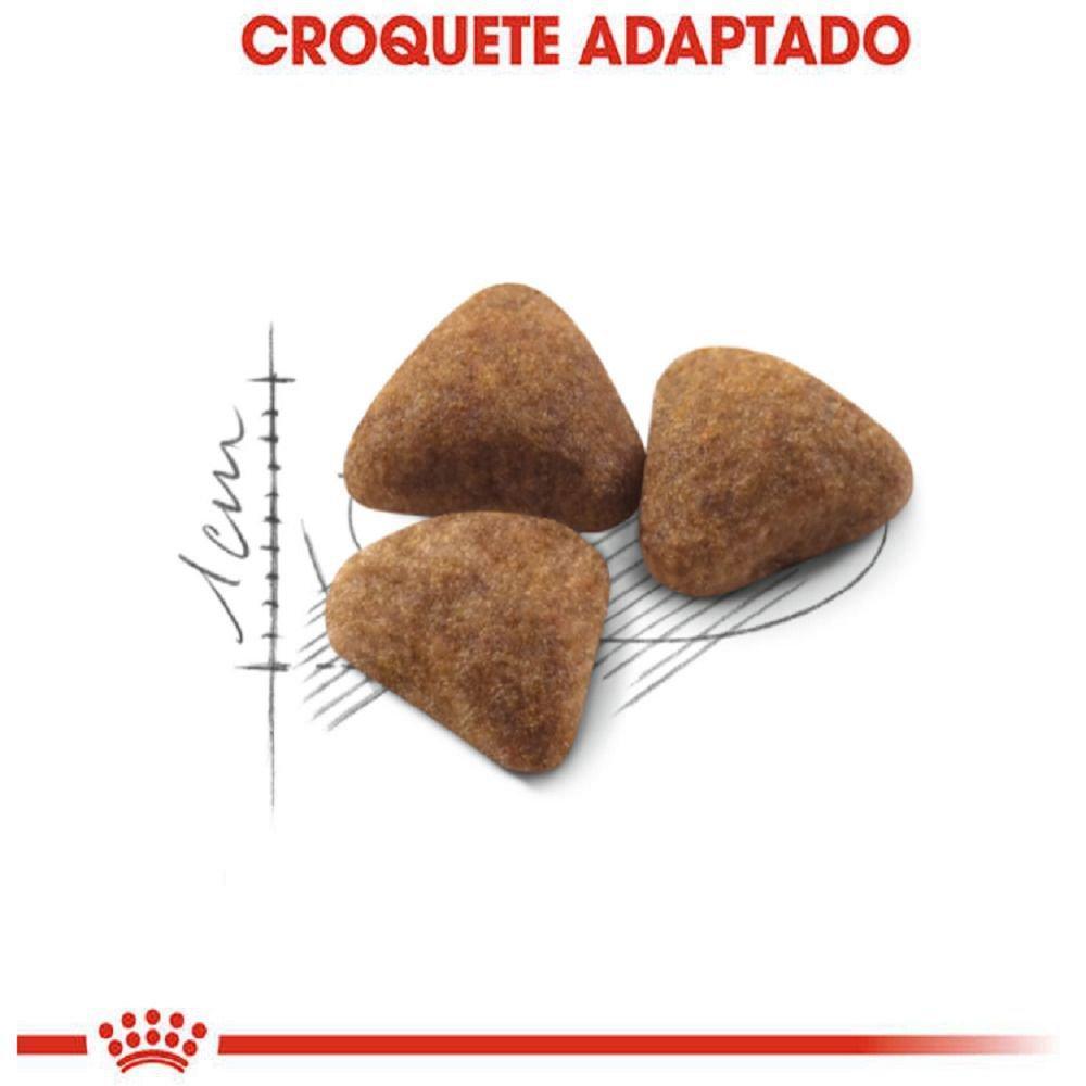 Ração Seca Royal Canin Indoor para Gatos Adultos - 400 g