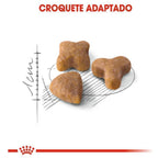 Ração Seca Royal Canin Sensible para Gatos Adultos - 400 g