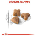 Ração Seca Royal Canin Sensible para Gatos Adultos - 7,5 Kg