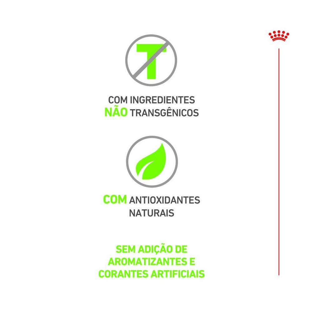 Ração Seca Royal Canin Exigent para Gatos Adultos com Paladar Exigente - 1,5 Kg