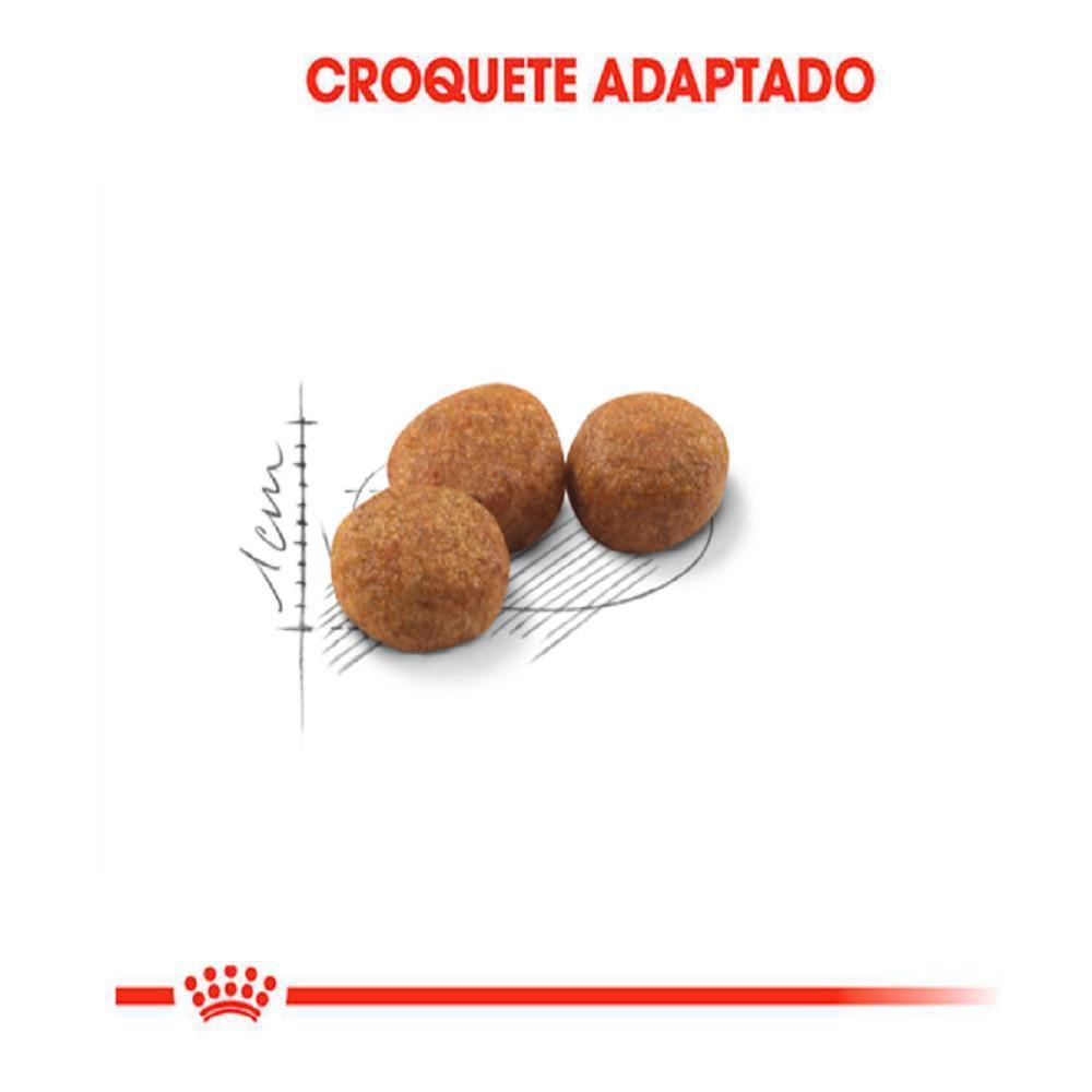 Ração Seca Royal Canin para Gatos Adultos Castrados - 400 g