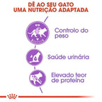 Ração Seca Royal Canin para Gatos Adultos Castrados - 1,5 Kg
