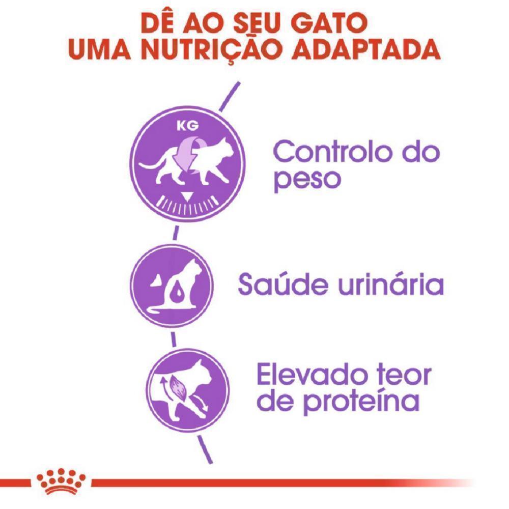 Ração Seca Royal Canin para Gatos Adultos Castrados - 1,5 Kg