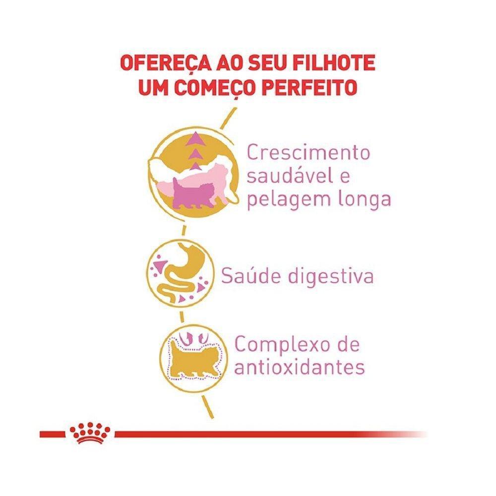 Ração Seca Royal Canin Kitten Persian para Gatos Filhotes da Raça Persa - 1,5 Kg