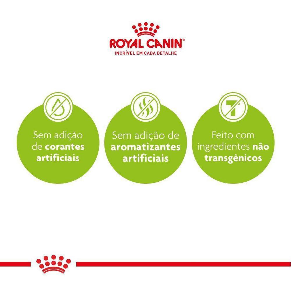 Ração Seca Royal Canin Persian para Gatos Adultos da Raça Persa - 1,5 Kg