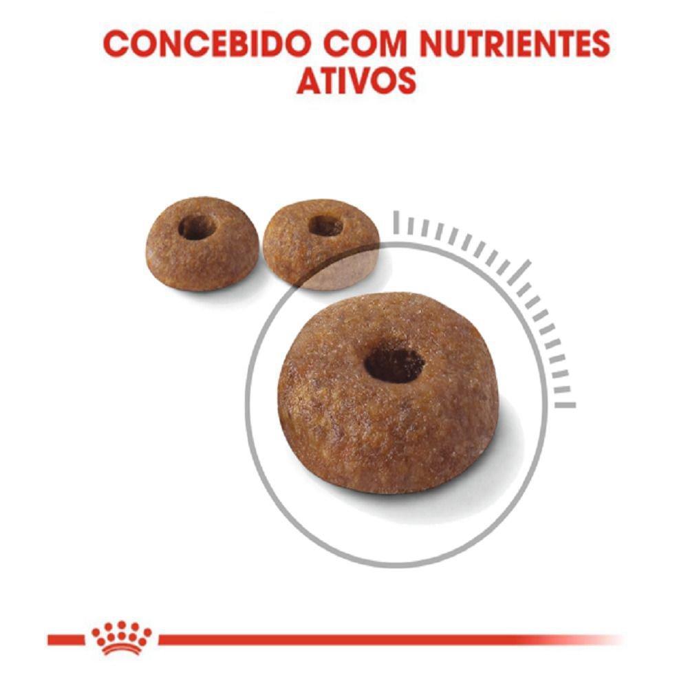 Ração Seca Royal Canin Light para Gatos Adultos - 1,5 Kg
