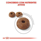 Ração Seca Royal Canin Light para Gatos Adultos - 1,5 Kg