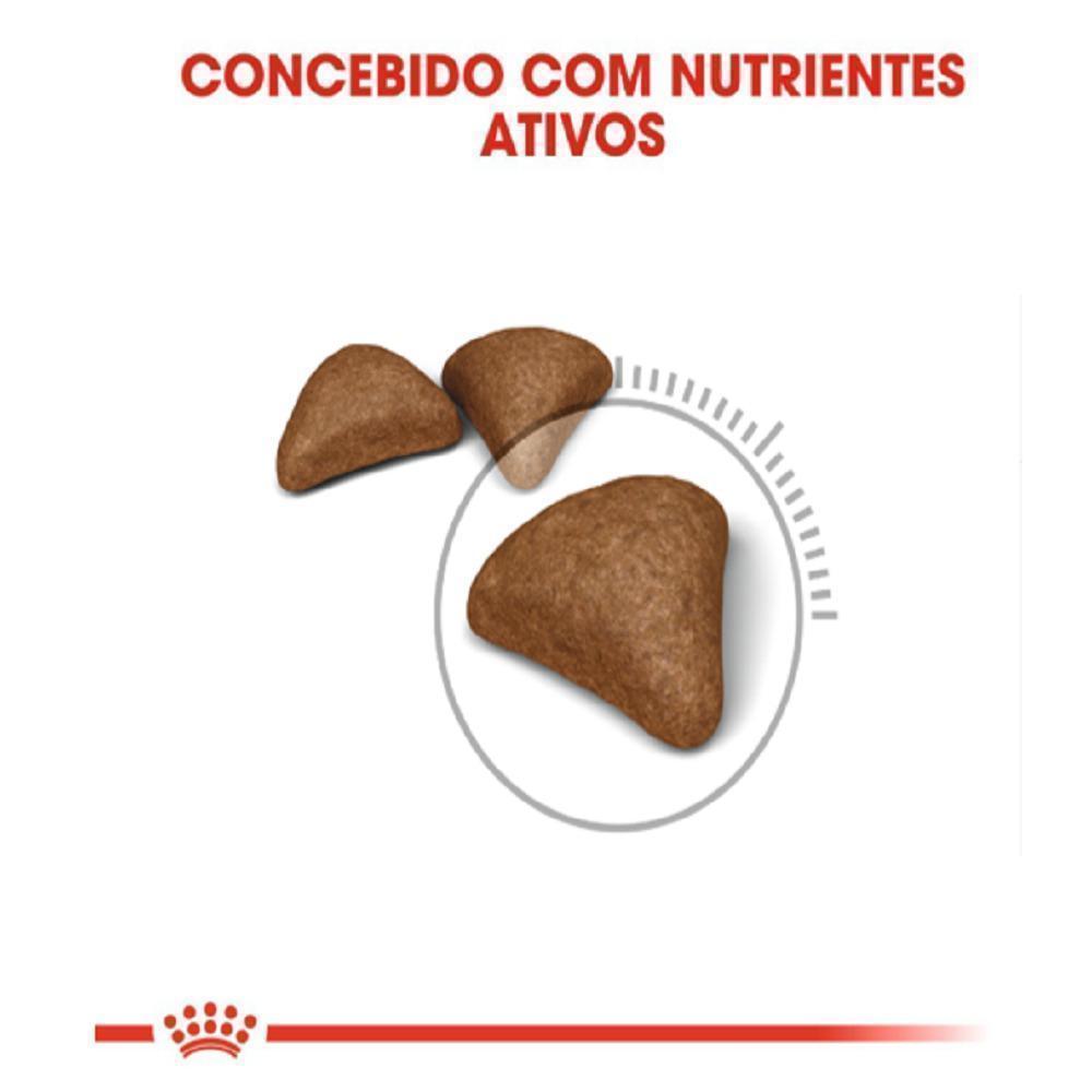 Ração Seca Royal Canin Bolas de Pelo para Gatos Adultos - 1,5 Kg