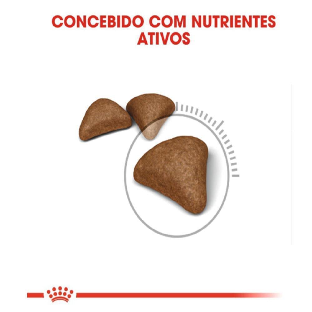 Ração Seca Royal Canin Bolas de Pelo para Gatos Adultos - 1,5 Kg