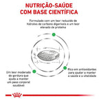 Ração Seca Royal Canin Veterinary Diet Diabetic para Gatos Adultos com Diabetes - 1,5 Kg