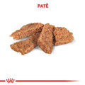 Ração Úmida Royal Canin Veterinary Diet Gastrointestinal para Cães Adultos com Sensibilidades Gastrointestinais - 400 g