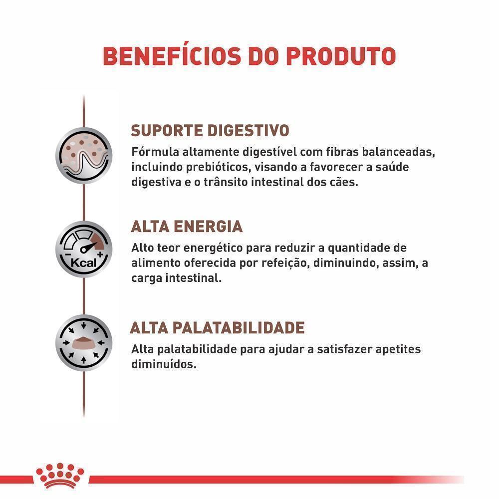 Ração Úmida Royal Canin Veterinary Diet Gastrointestinal para Cães Adultos com Sensibilidades Gastrointestinais - 400 g