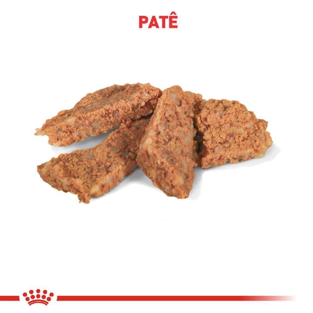 Ração Úmida Royal Canin Lata Veterinary Diet Hepatic para Cães com Insuficiência Hepática Crônica - 420 g