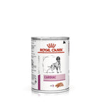 Ração Úmida Royal Canin Lata Veterinary Diet Cardiac para Cães com Insuficiência Cardíaca Crônica - 410 g