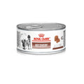 Ração Úmida Royal Canin Lata Veterinary Diet Recovery para Cães e Gatos em Recuperação - 195 g