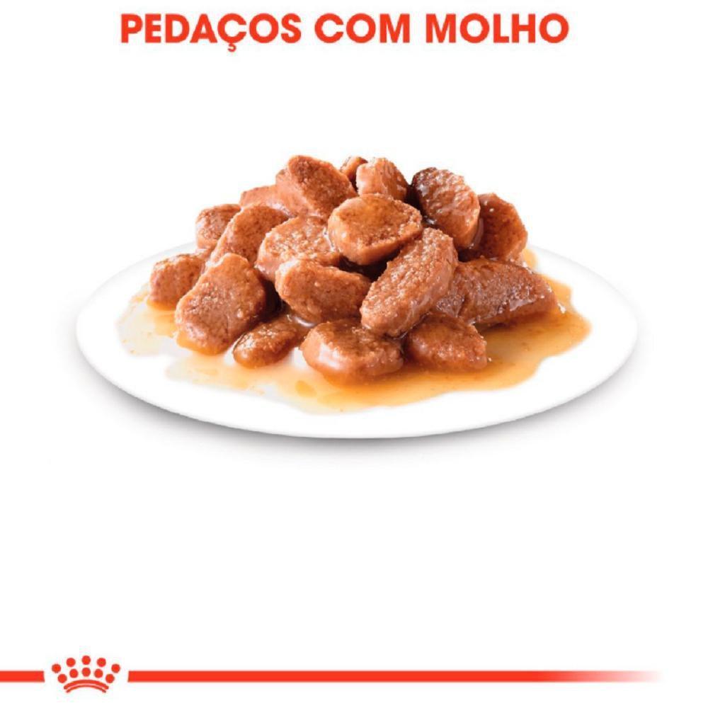 Ração Úmida Royal Canin Sachê Instinctive para Gatos Adultos Acima de 12 meses - 85 g