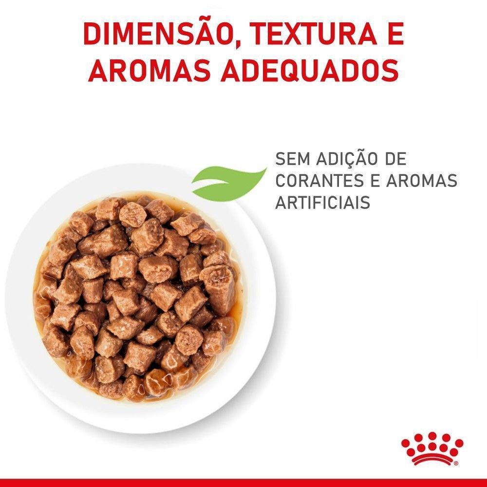 Ração Úmida Royal Canin Sachê Filhotes Kitten para Gatos Filhotes com até 12 meses - 85 g