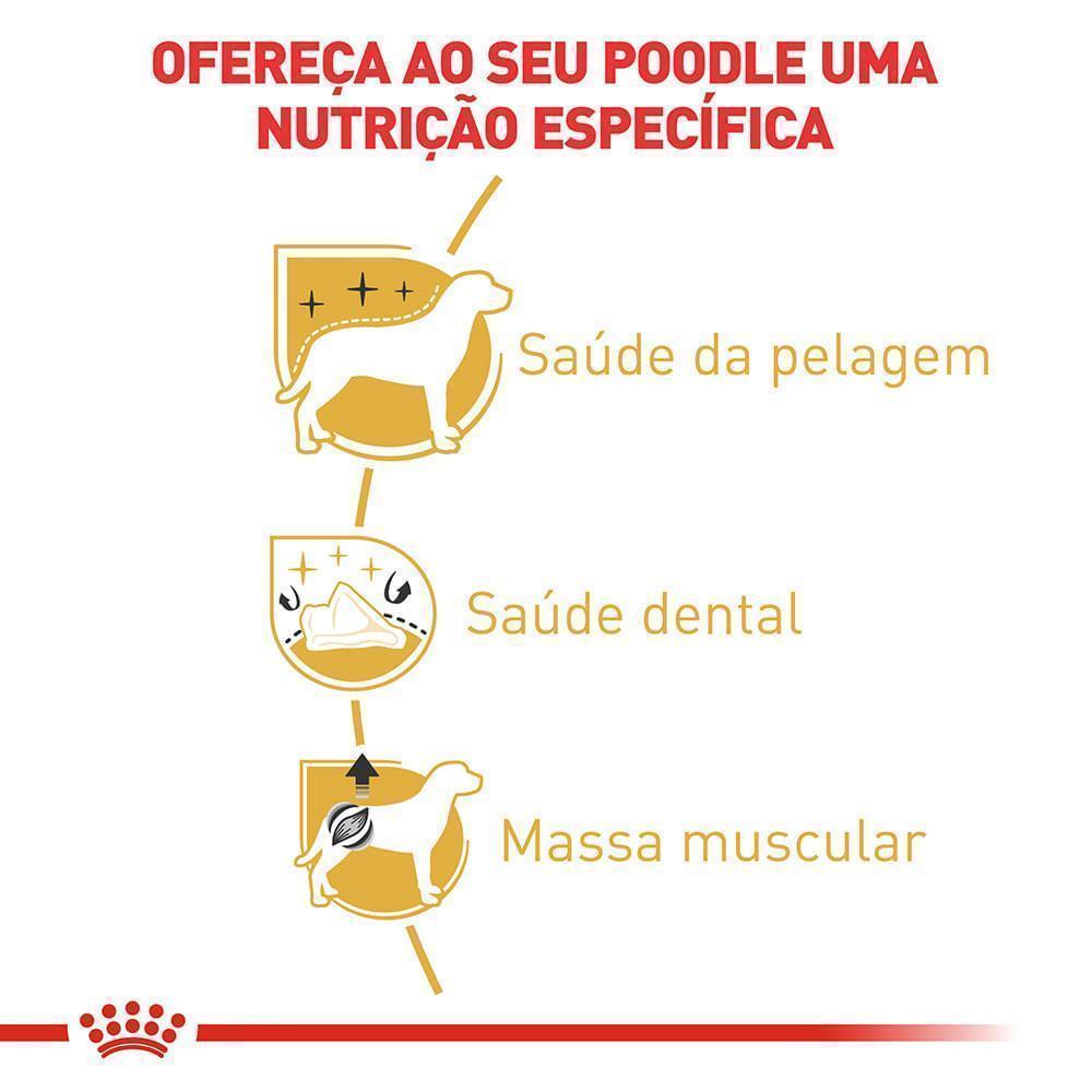 Ração Seca Royal Canin para Cães Adultos da Raça Poodle - 1 Kg