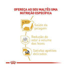 Ração Seca Royal Canin para Cães Adultos da Raça Maltês - 1 Kg