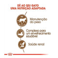 Ração Seca Royal Canin para Gatos Adultos Castrados Acima de 12 anos - 400 g