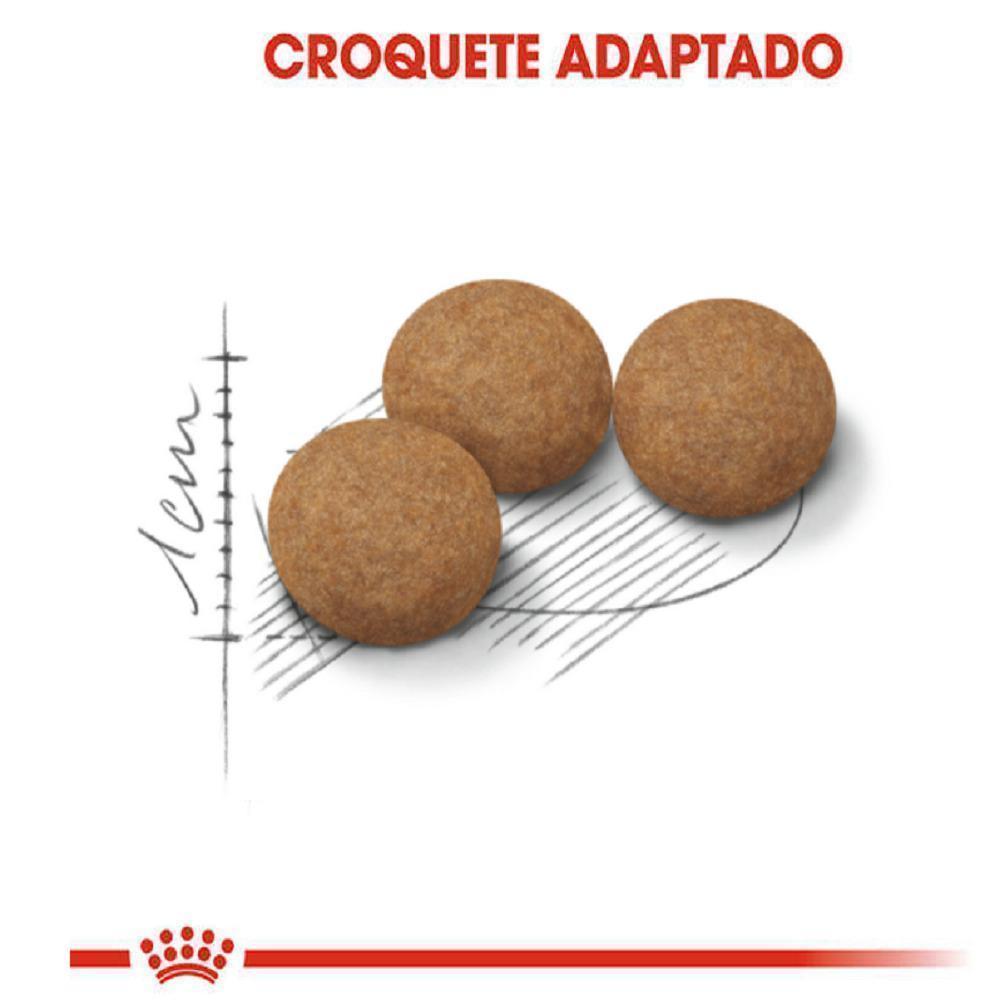 Ração Seca Royal Canin para Gatos Adultos Castrados Acima de 12 anos - 1,5 Kg