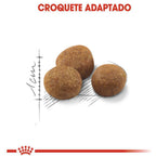 Ração Seca Royal Canin para Gatos Adultos Castrados Acima de 7 anos - 1,5 Kg