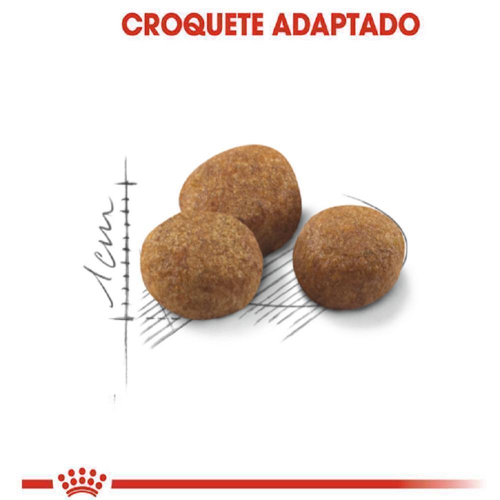 Ração Seca Royal Canin para Gatos Adultos Castrados Acima de 7 anos - 1,5 Kg