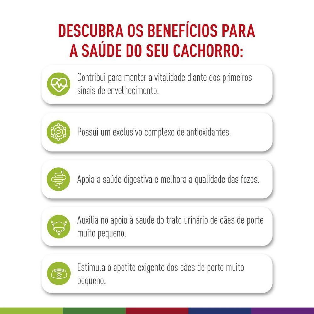 Ração Seca Royal Canin X-Small Adult 8+ para Cães Adultos e Idosos de Porte Miniatura com 8 Anos ou mais - 1 Kg