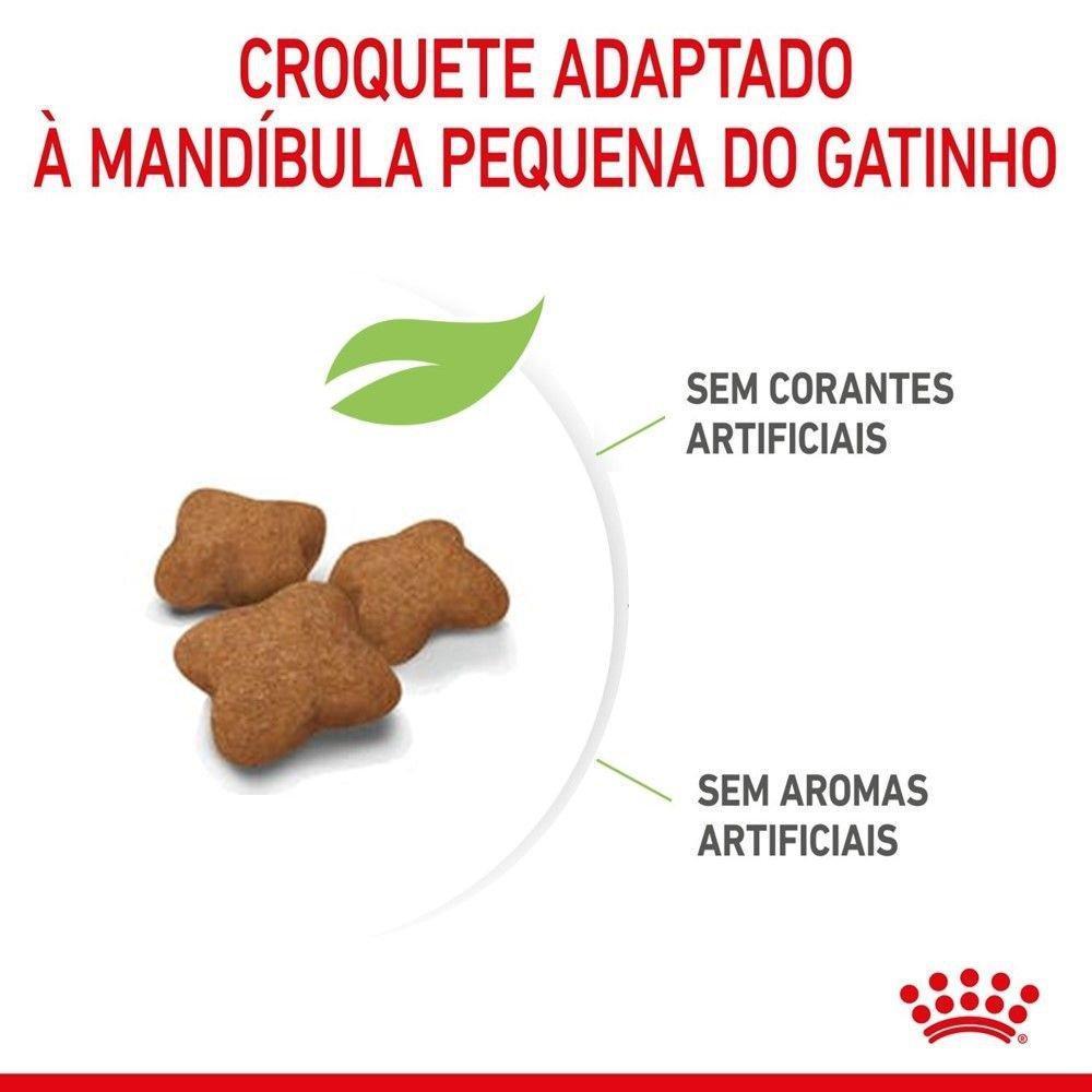 Ração Seca Royal Canin para Gatos Filhotes Castrados de 6 a 12 meses - 400 g