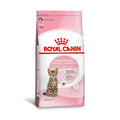 Ração Seca Royal Canin para Gatos Filhotes Castrados de 6 a 12 meses - 1,5 Kg