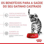 Ração Seca Royal Canin para Gatos Filhotes Castrados de 6 a 12 meses - 1,5 Kg