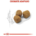 Ração Seca Royal Canin Indoor 7 + para Gatos Adultos Acima de 7 anos- 400 g