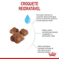 Ração Seca Royal Canin Mother & Babycat para Gatas gestantes/lactantes e Gatos Filhotes de 1 a 4 Meses de Idade - 400 g
