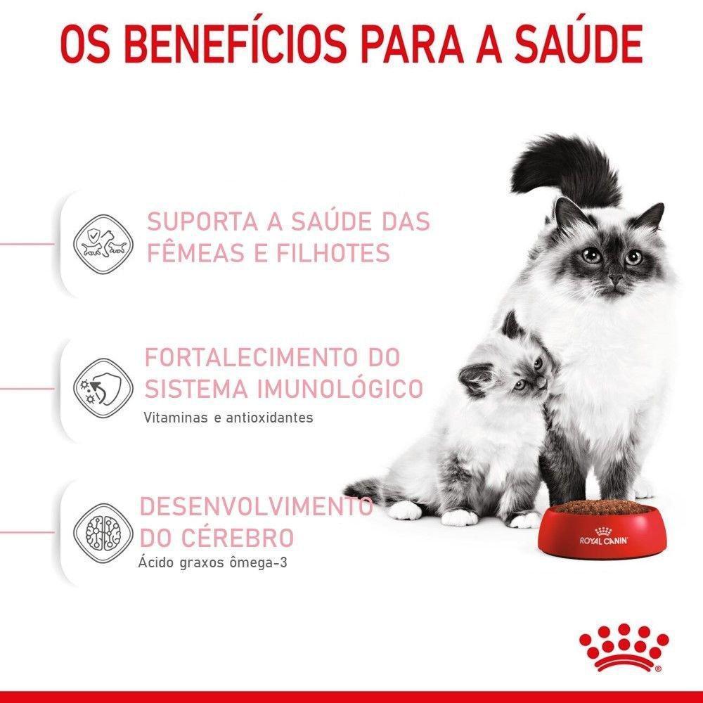 Ração Seca Royal Canin Mother & Babycat para Gatas gestantes/lactantes e Gatos Filhotes de 1 a 4 Meses de Idade - 400 g