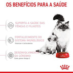 Ração Seca Royal Canin Mother & Babycat para Gatas gestantes/lactantes e Gatos Filhotes de 1 a 4 Meses de Idade - 400 g