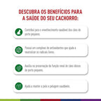 Ração Seca Royal Canin Mini Ageing 12+ para Cães Idosos de Porte Pequeno com 12 Anos ou mais - 1 Kg