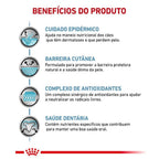 Ração Seca Royal Canin Veterinary Diet Skin Care Small Dog para Cães Adultos de Porte Pequeno com Sensibilidades de Pele - 2 Kg
