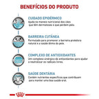 Ração Seca Royal Canin Veterinary Diet Skin Care Small Dog para Cães Adultos de Porte Pequeno com Sensibilidades de Pele - 2 Kg