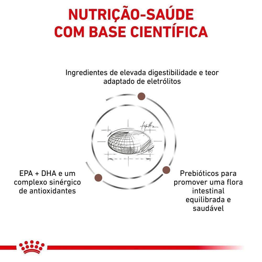 Ração Seca Royal Canin Veterinary Diet Gastrointestinal Moderate Calorie para Cães Adultos - 2 Kg