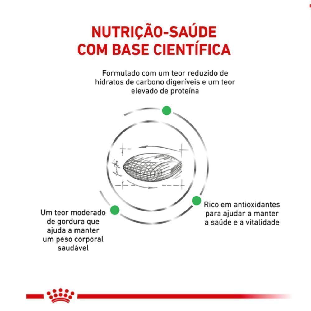 Ração Seca Royal Canin Veterinary Diet Diabetic para Cães Adultos com Diabetes - 1,5 Kg
