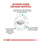 Ração Seca Royal Canin Veterinary Diet Diabetic para Cães Adultos com Diabetes - 1,5 Kg