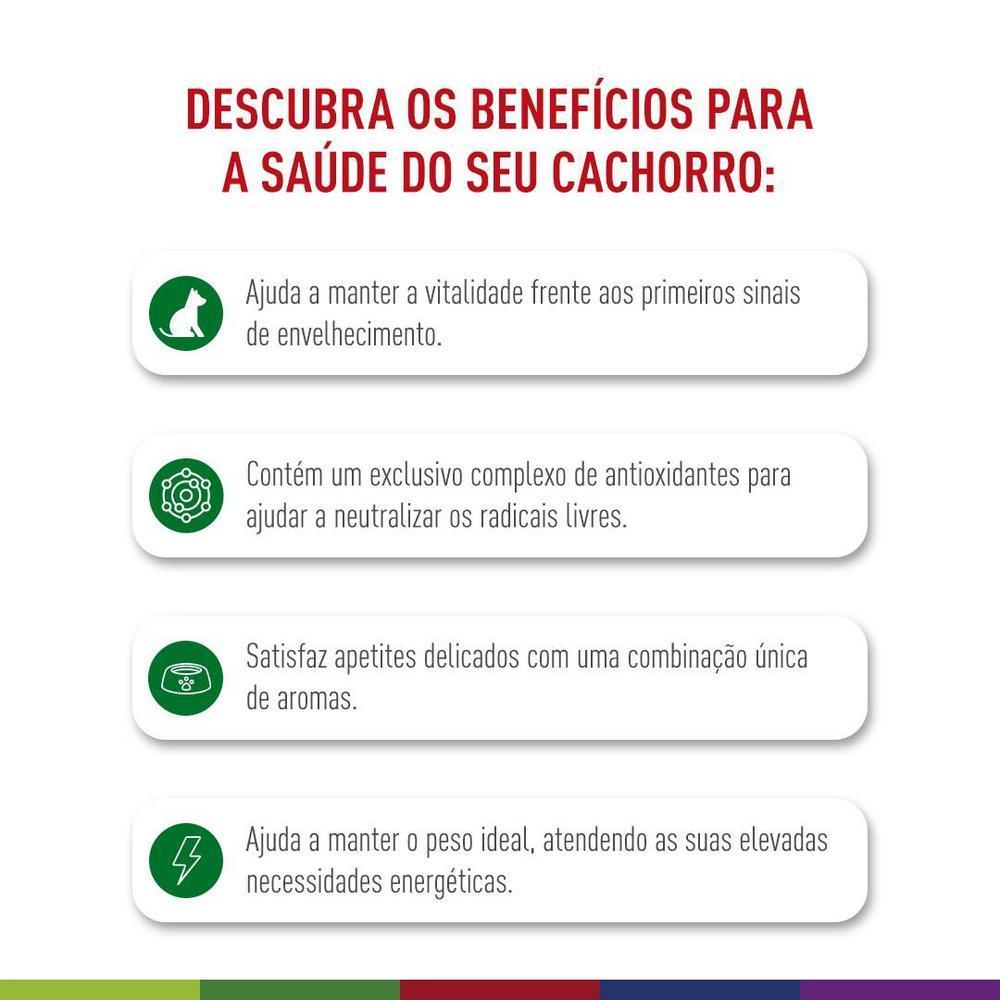 Ração Seca Royal Canin Mini Adult 8+ para Cães Adultos de Porte Pequeno com 8 Anos ou mais - 1 Kg