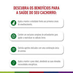 Ração Seca Royal Canin Mini Adult 8+ para Cães Adultos de Porte Pequeno com 8 Anos ou mais - 1 Kg