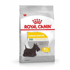 Ração Seca Royal Canin Mini Dermacomfort para Cães Adultos ou Idosos de Porte Pequeno - 1 Kg