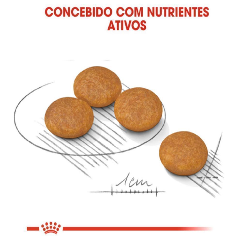 Ração Seca Royal Canin Mini Dermacomfort para Cães Adultos ou Idosos de Porte Pequeno - 7,5 Kg
