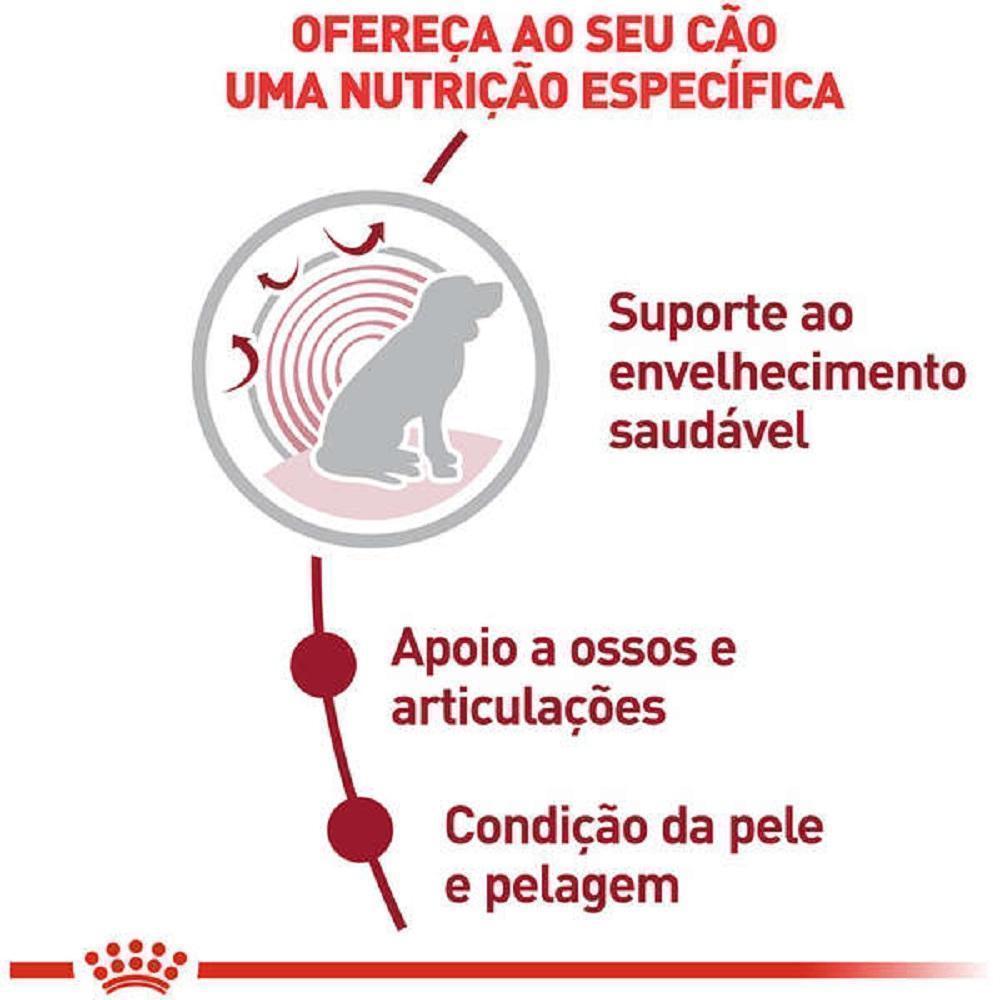 Ração Royal Canin Medium Ageing 10 + para Cães Senior de Porte Médio com 10 Anos ou mais 15kg