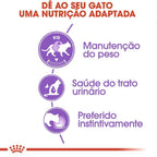 Ração Úmida Royal Canin Sachê para Gatos Adultos Castrados - 85 g