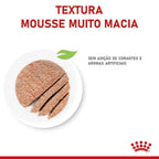 Ração Úmida Royal Canin Lata Mother & Babycat Instinctive para Gatas gestantes/lactantes e Gatos Filhotes - 195 g
