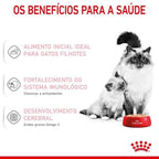 Ração Úmida Royal Canin Lata Mother & Babycat Instinctive para Gatas gestantes/lactantes e Gatos Filhotes - 195 g