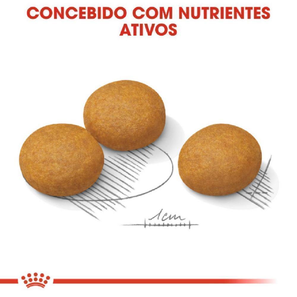 Ração Seca Royal Canin Maxi Dermacomfort para Cães Adultos e Idosos de Porte Grande - 10,1 Kg